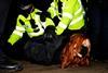 Patsy Stevenson is arrested on the bandstand of Clapham Common, where a vigil was taking place for Sarah Everard