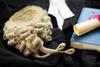 Barrister wig and gown