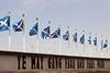 Row of Scottish flags