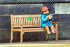 Paddington Bear bench