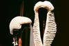 Judge and barrister wig