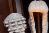 Barrister and judge wigs