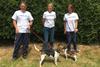 LawCare team on 10,000 steps