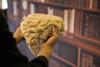 A person holds a barrister wig