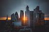 City of London skyscrapers at sunset