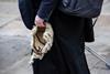 A barrister holds his wig on his way to court