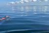 Karen Mee swimming the Channel