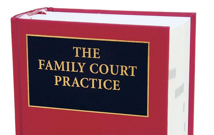 Unrepresented Parties Become The Majority In Family Cases News Law 