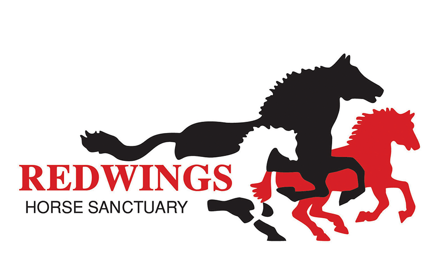 Redwings collection  Redwings Horse Sanctuary Shop