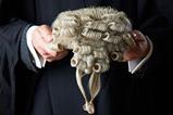 Barrister wig