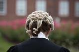 Barrister wig