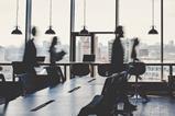 office workers