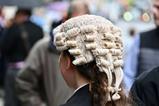 Barrister wig