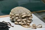 Barrister wig