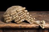 Barrister wig