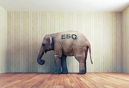 ESG elephant