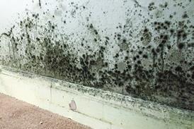 Mould