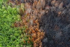 Wildfire damage