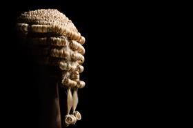 Barrister wig