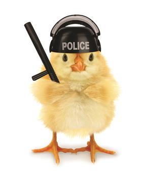 Chickenpolice