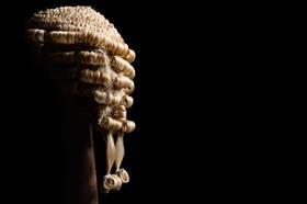 Barrister wig