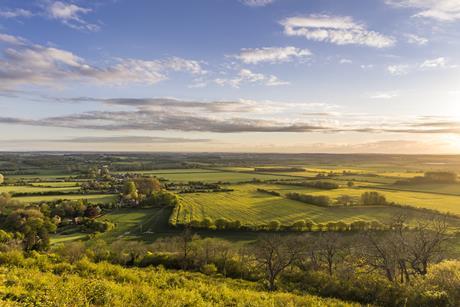 English fields