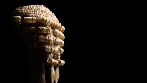 Barrister wig