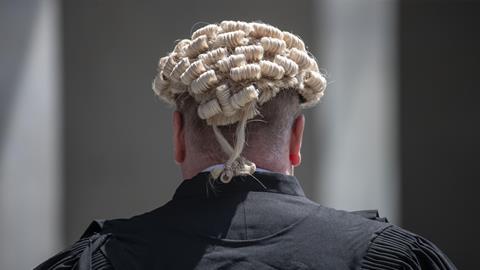 An anonymous man wearing barrister wig and gown