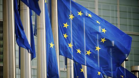 European Union flag