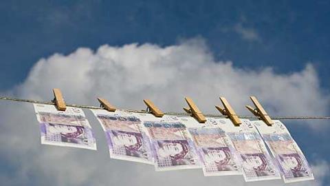 Sterling on washing line