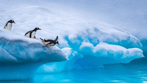 Penguins jump off an iceberg in Antarctica