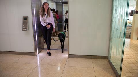 Jemima Banks and Albert in the office