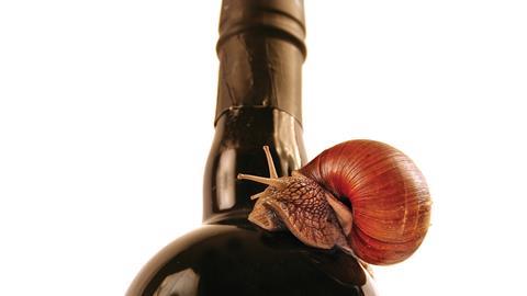 Snail bottle