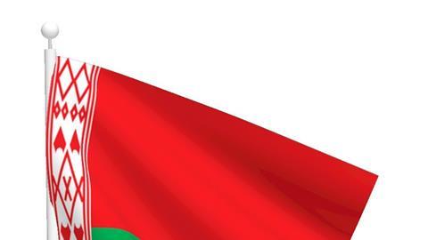 national flag of belarus