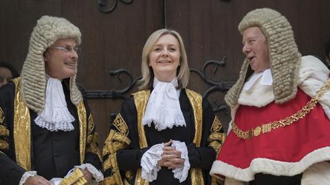 Master of the rolls Dyson, Liz Truss and the lord chief justice