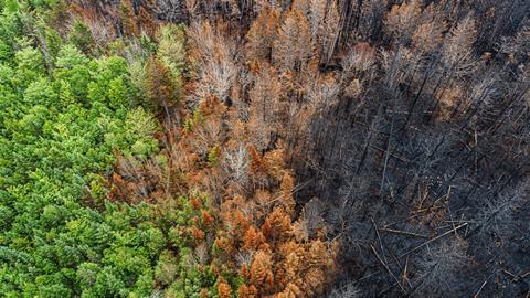 Wildfire damage