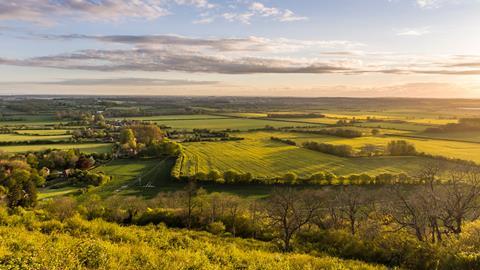 English fields