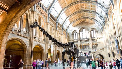 Natural History Museum