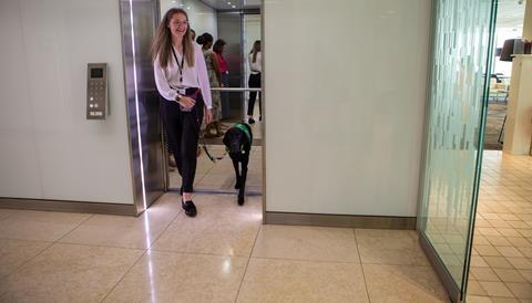 Jemima Banks and Albert in the office