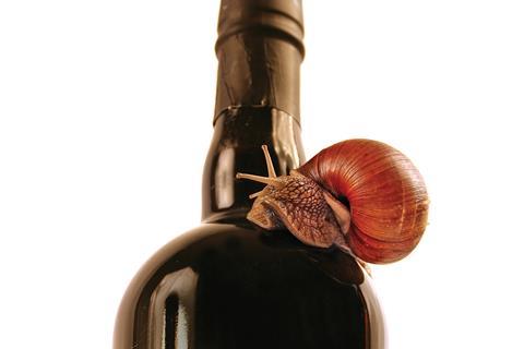 Snail bottle