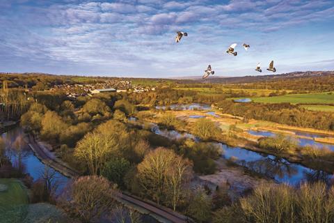Wetlands