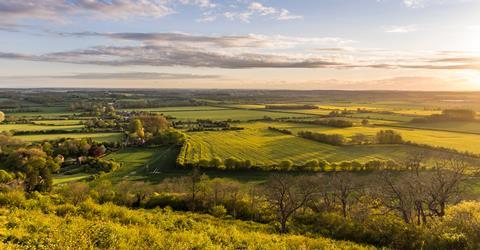 English fields