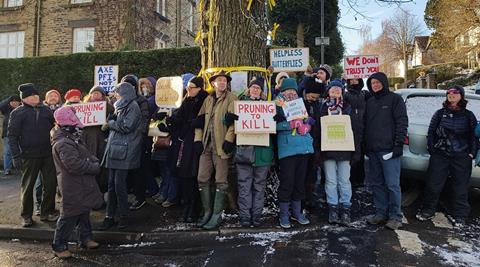 Sheffield tree protest