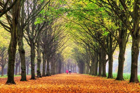 The National Free Wills Network