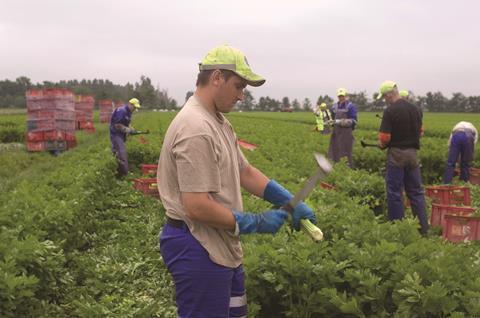 EU migrant workers on Lancashire farm