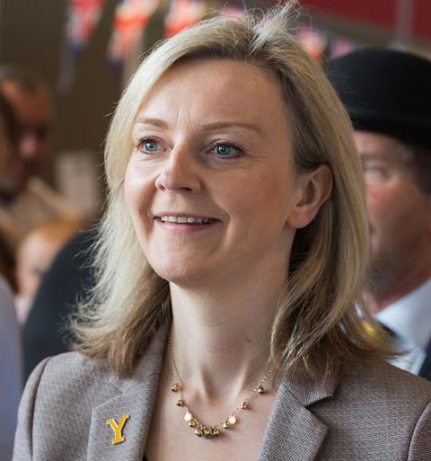 Liz truss