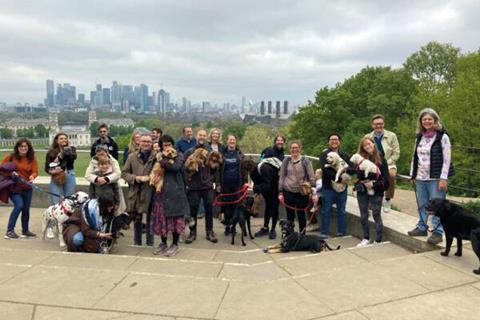 London-Legal-Walkies