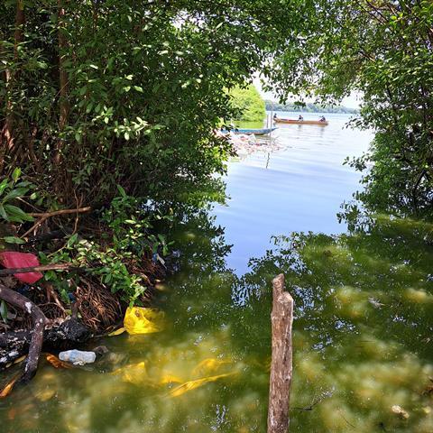 Pueblo Viejo lagoon