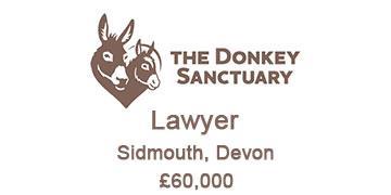 donkeysanctuaryPREMJOB360