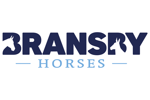Bransby Horses - Rescue and Welfare